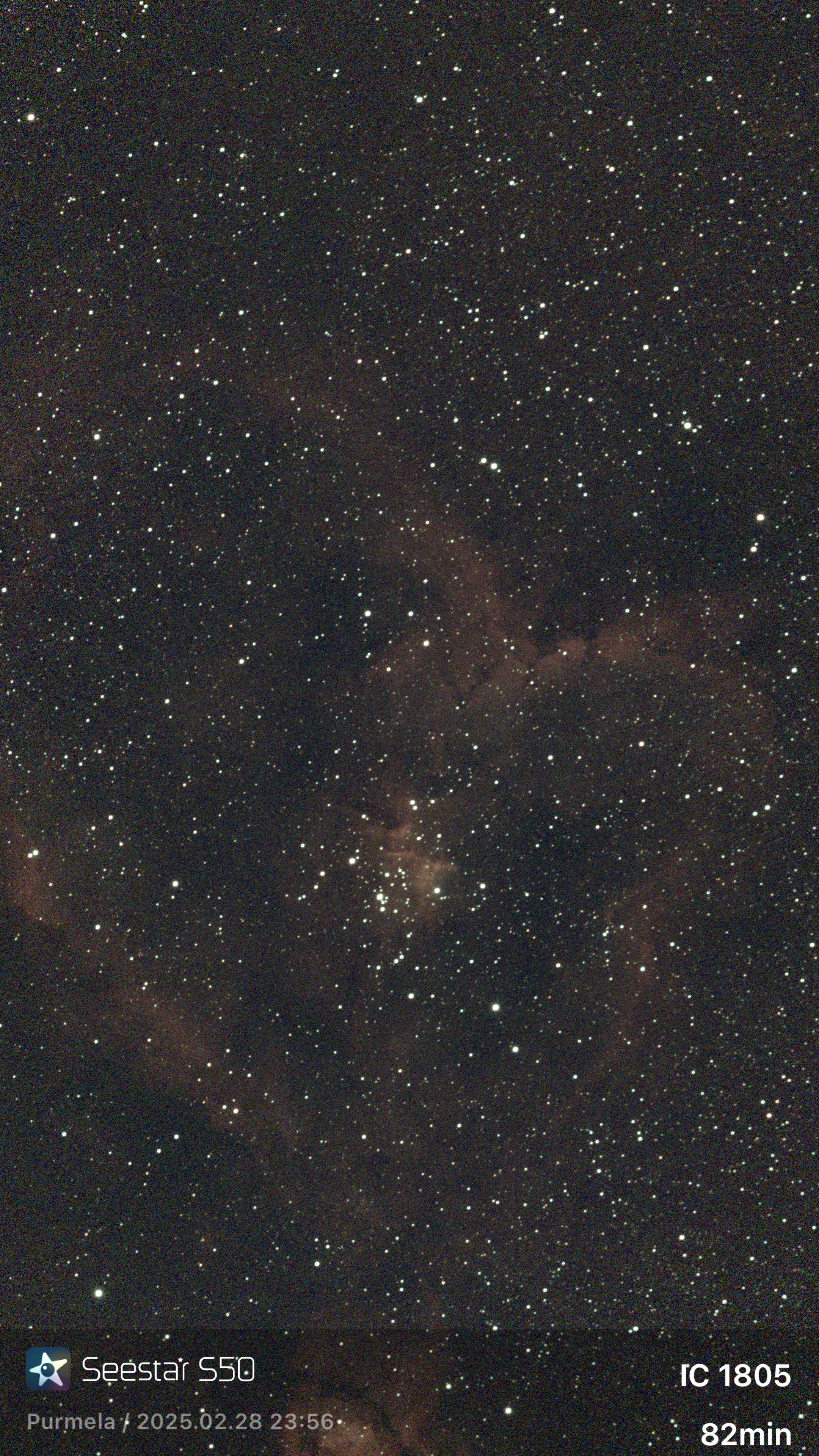 Heart Nebula