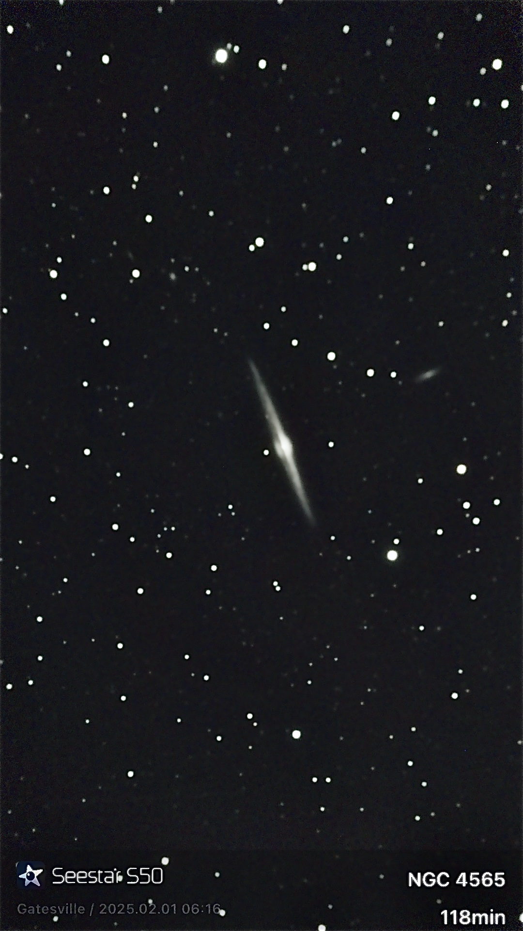 NGC 4565