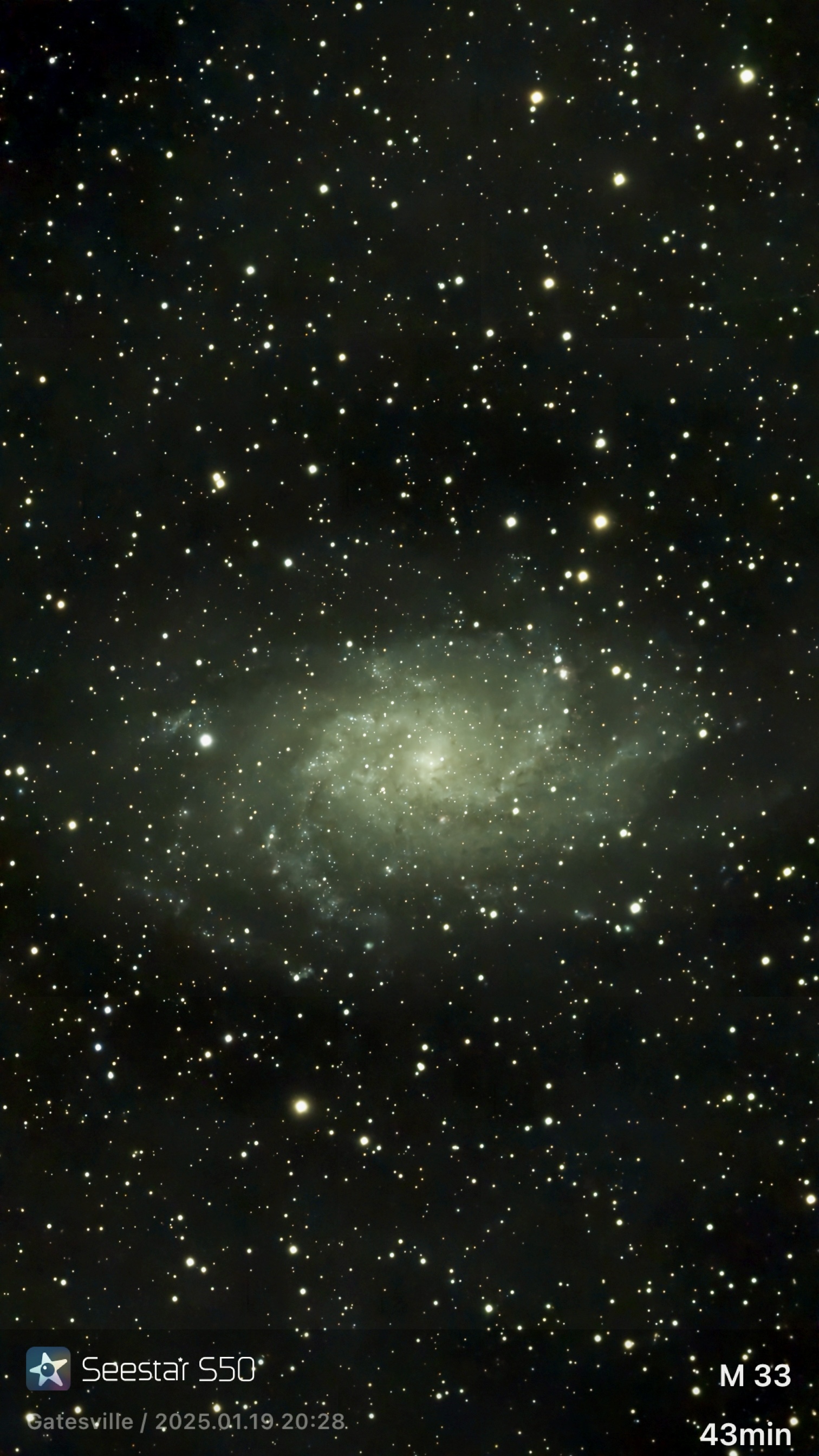 Triangulum Galaxy
