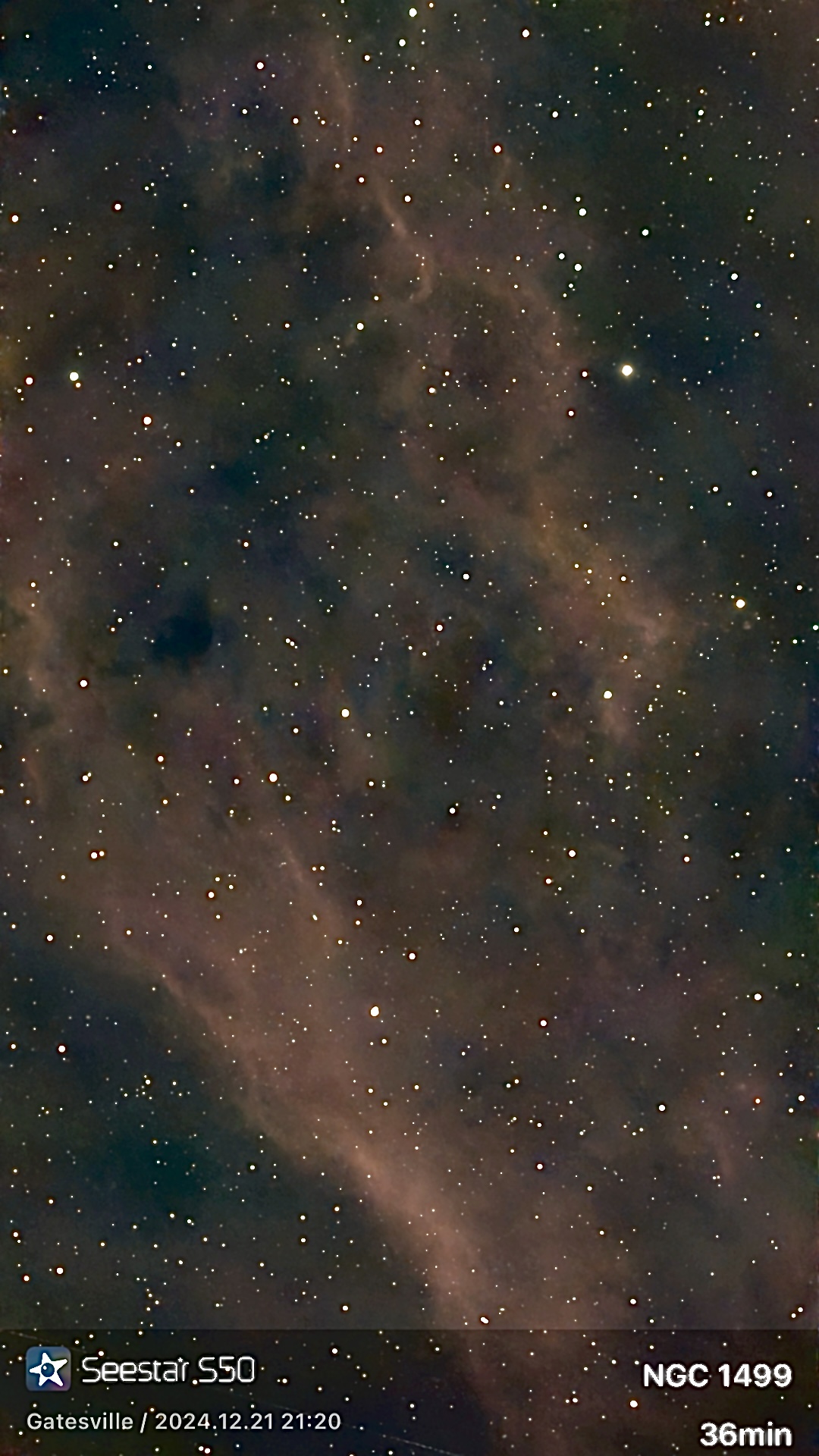 California Nebula