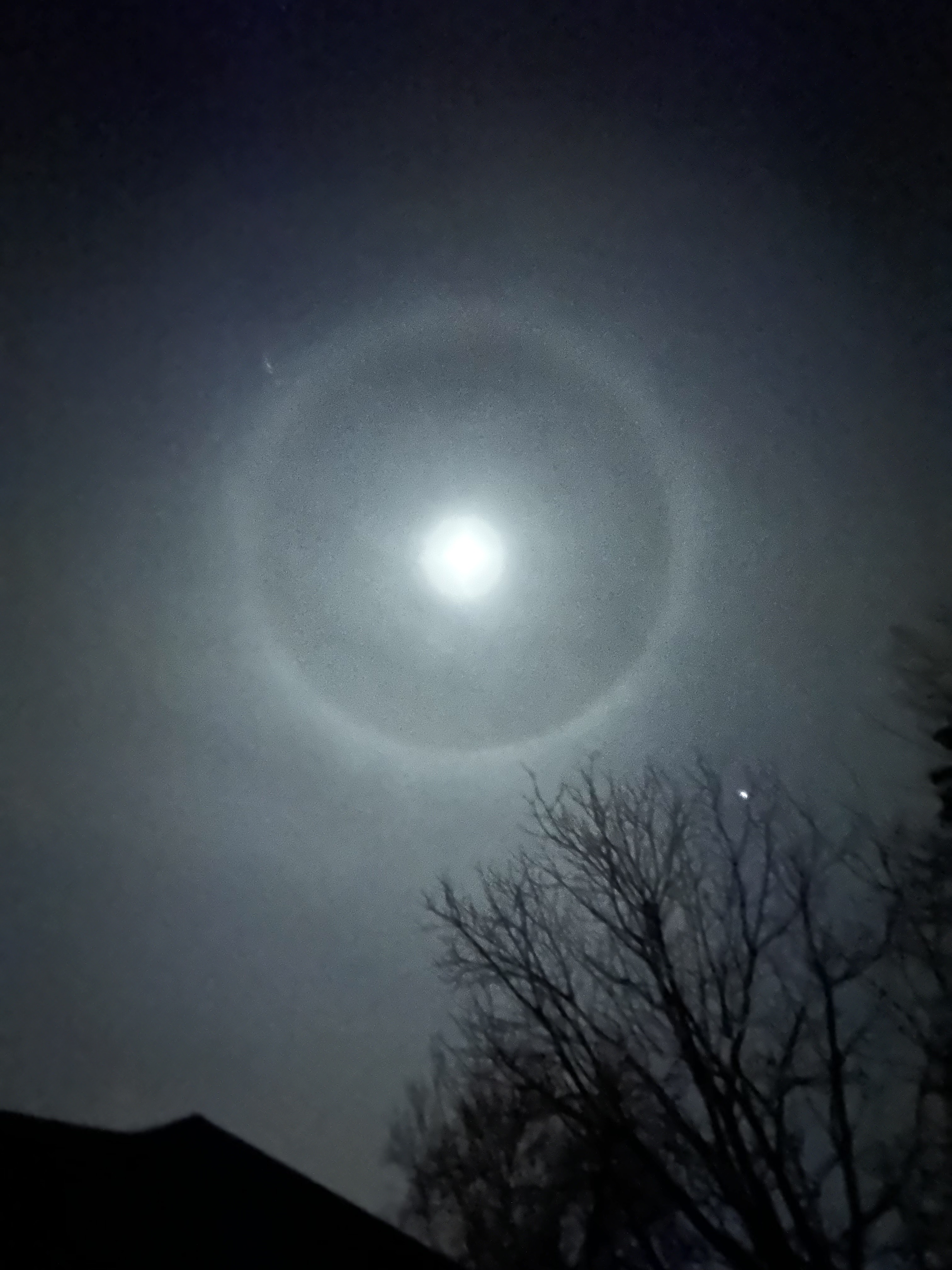 natural satellite